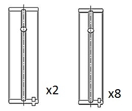 Crankshaft Bearing